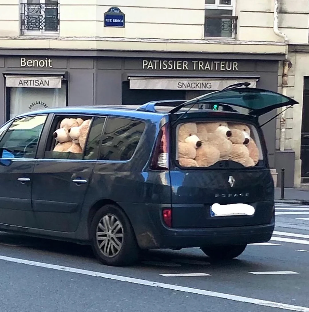 Bear carpool