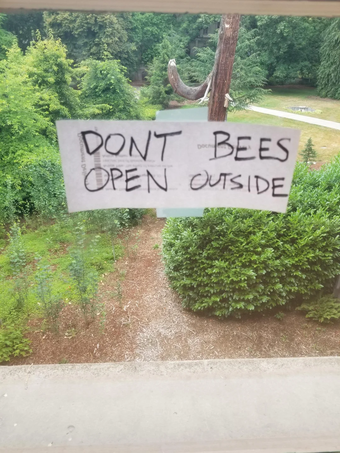 "DON’T BEES OPEN OUTSIDE"
