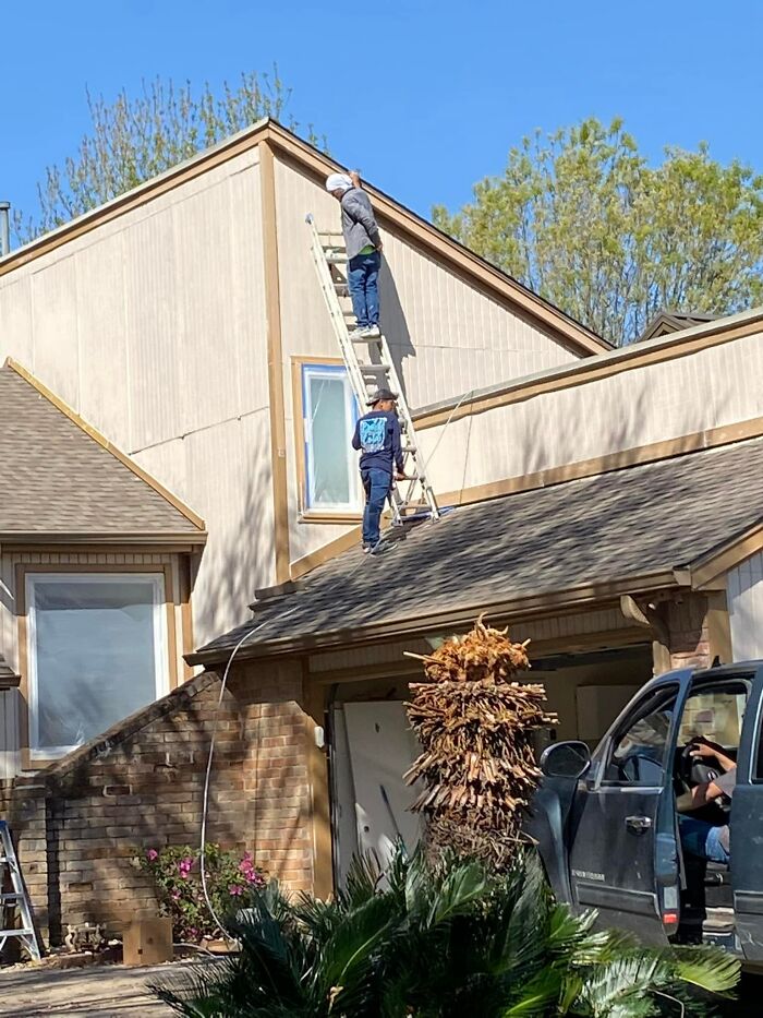 Ladder on roof