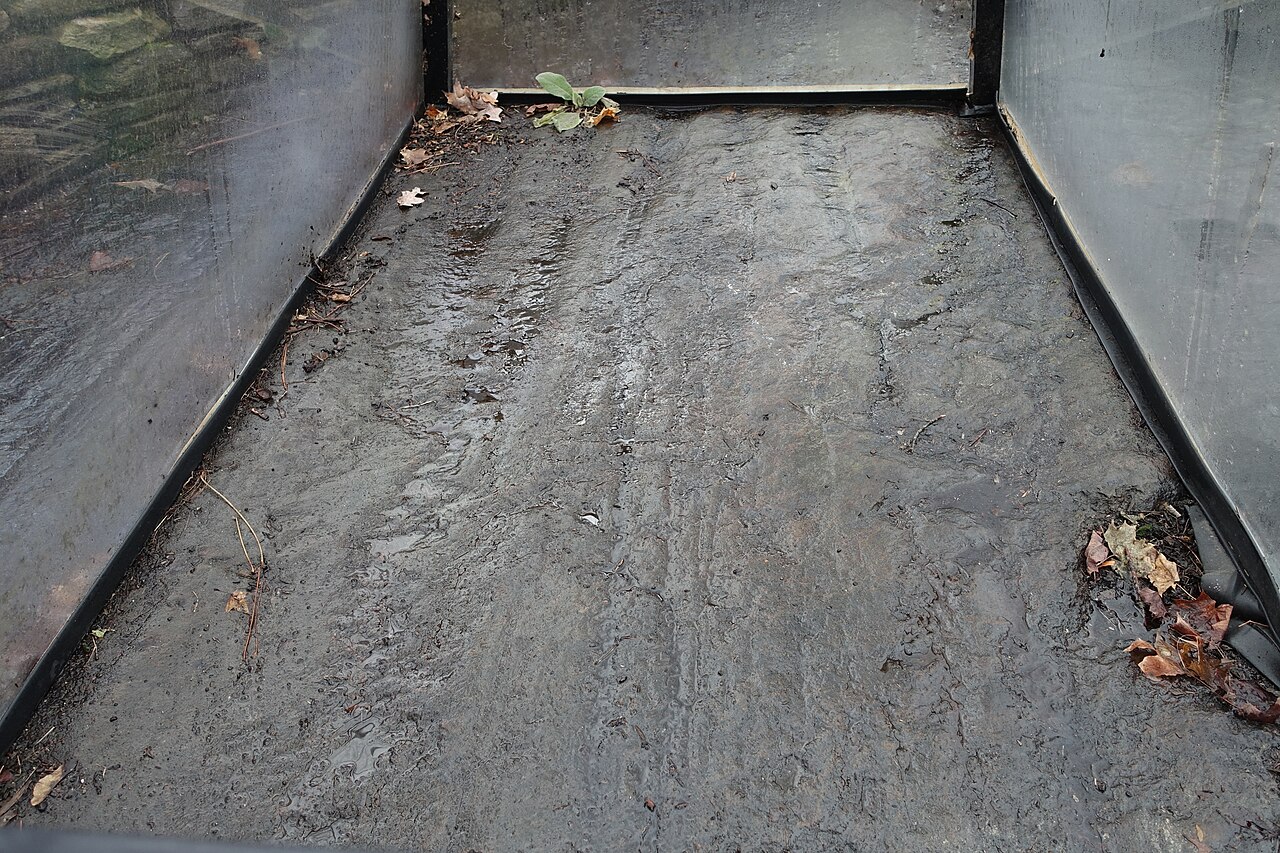 Westford knight stone