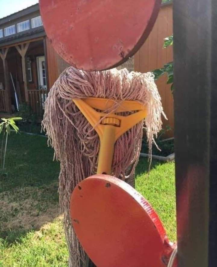 Mop That Looks Like It Has an Angry Face