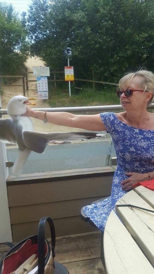 Woman Grabbing a Seagull by the Neck