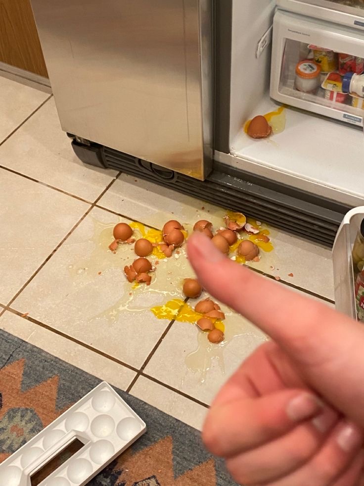 Eggs Crash to the Floor