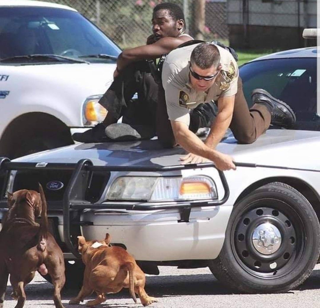 Police Officers Afraid of Dogs