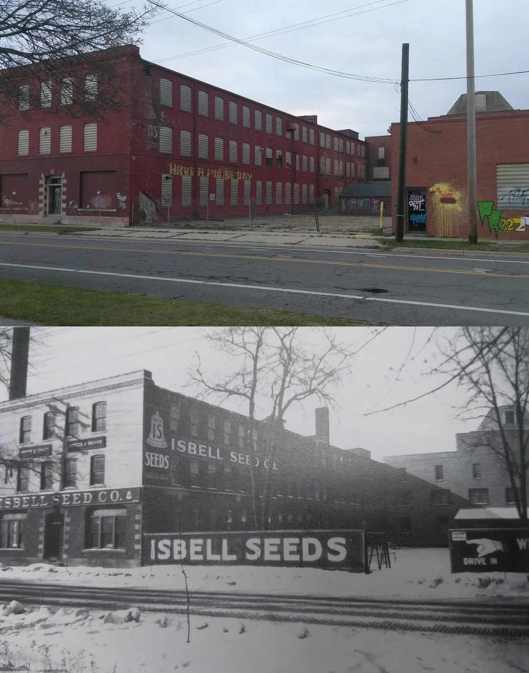 Isbell Seeds Co., Michigan, 1910s/2020s