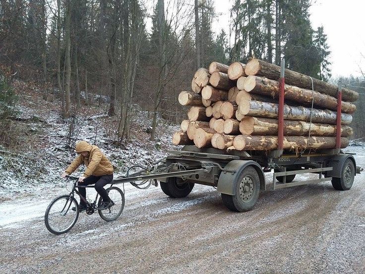 Bike Guy Hauling a Forest