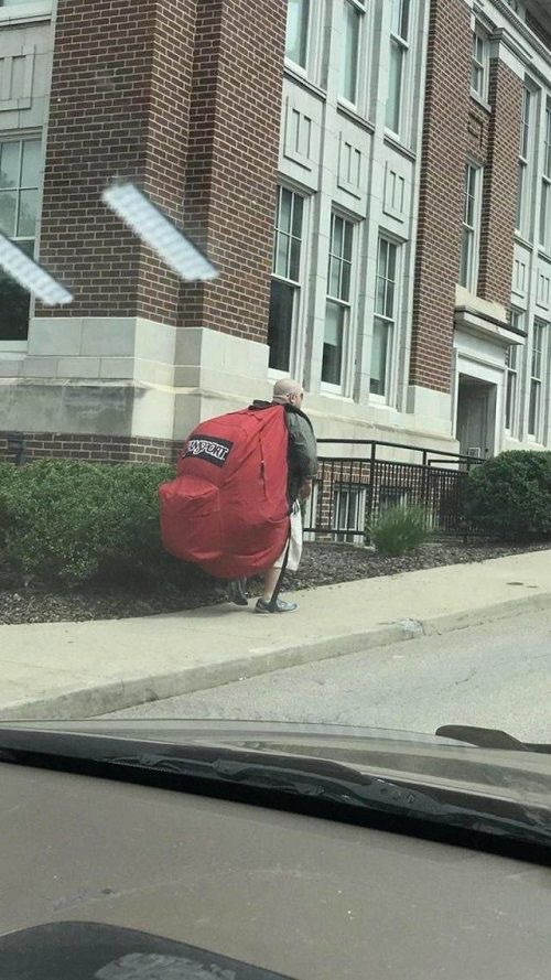 Backpack the Size of a Gorilla