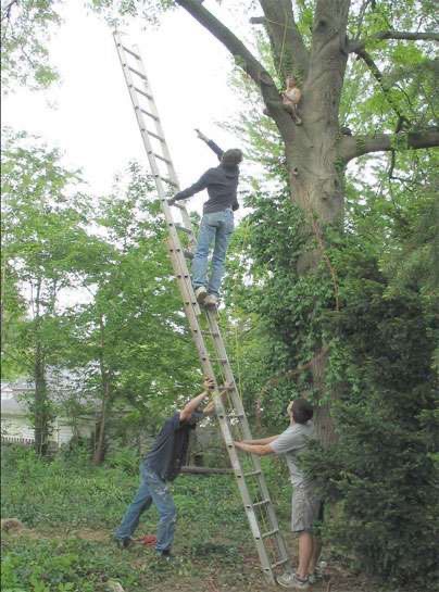 The Human Tripod System