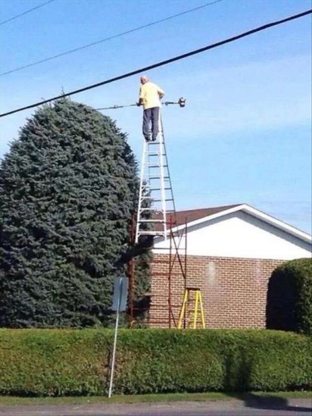 Roof-to-Tree Expressway