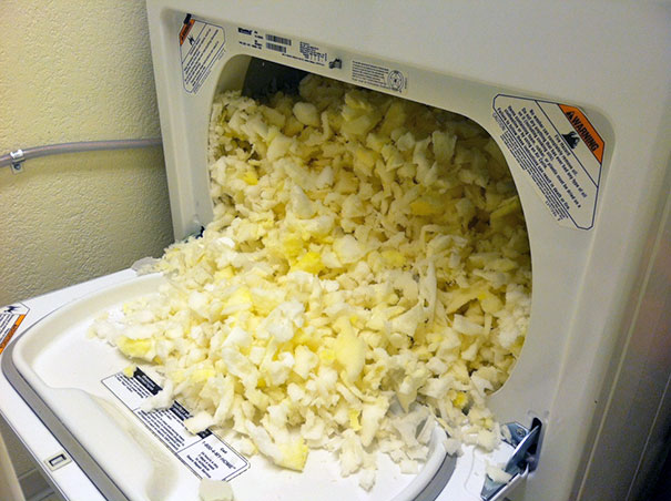 Aftermath of drying a dog bed