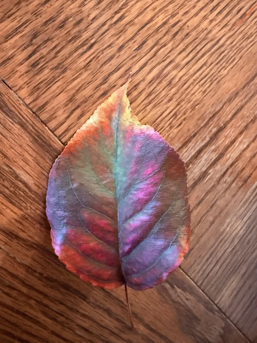Nature's tie-dye