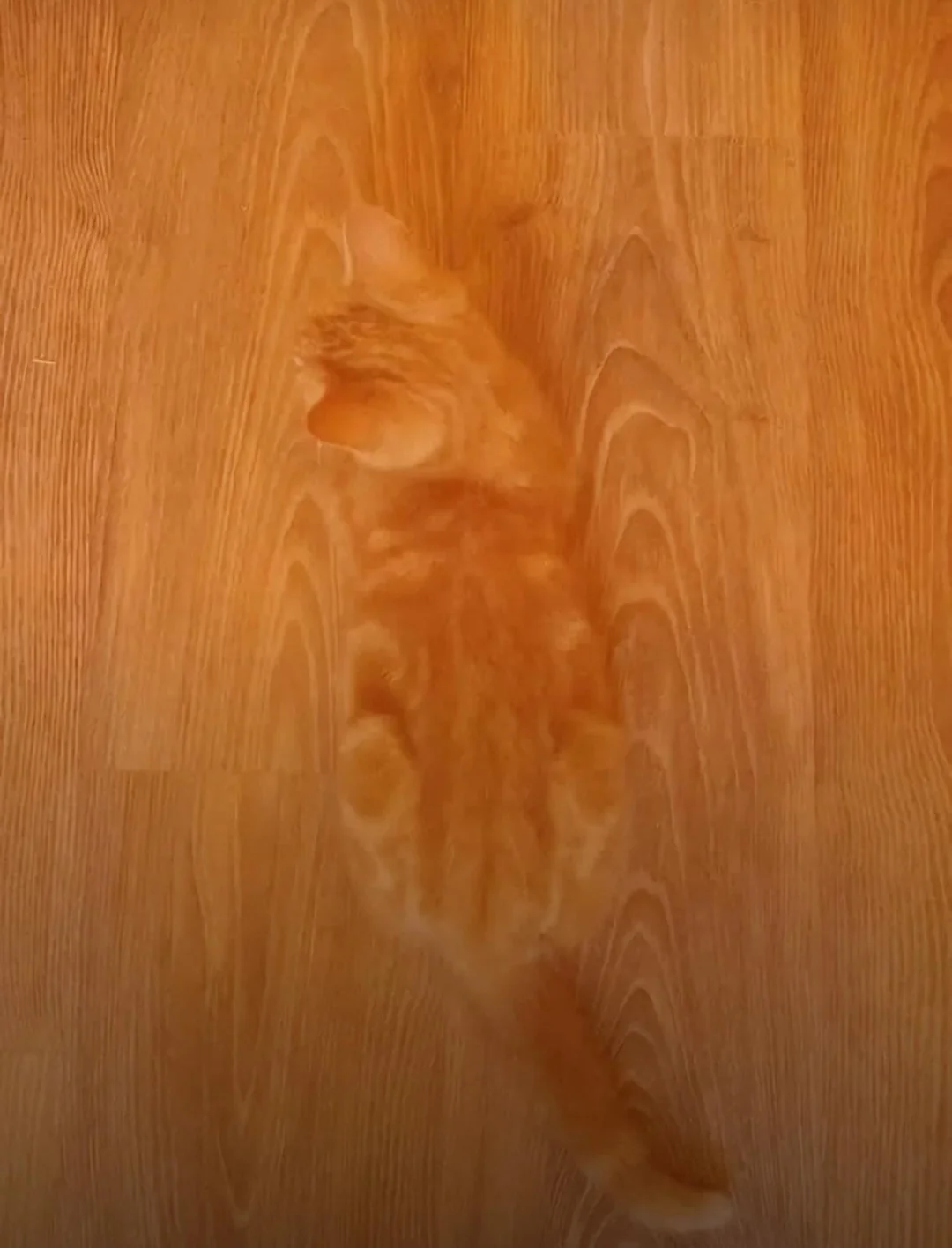 Hardwood camouflage