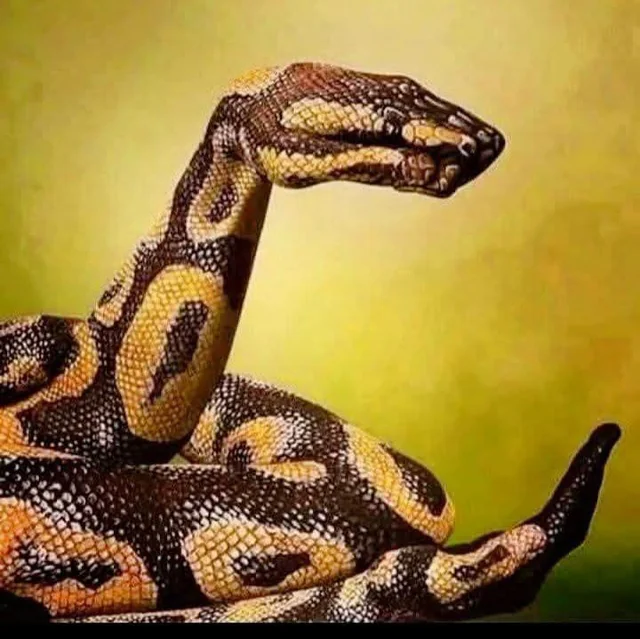 A snake that isn't a snake