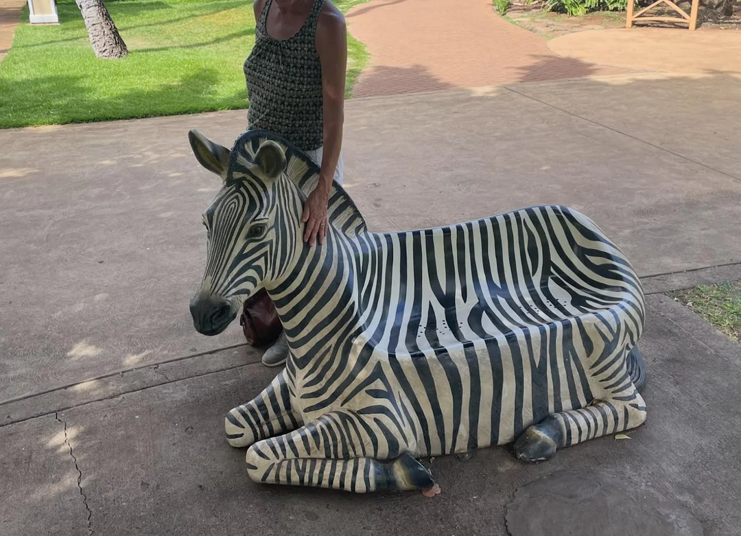 Zebra bench