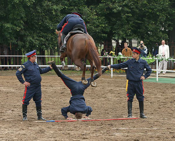 Human-horse olympics