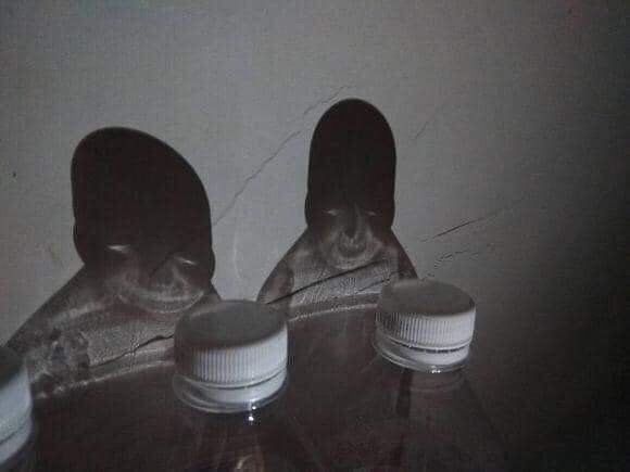 Bottles Show Babies 