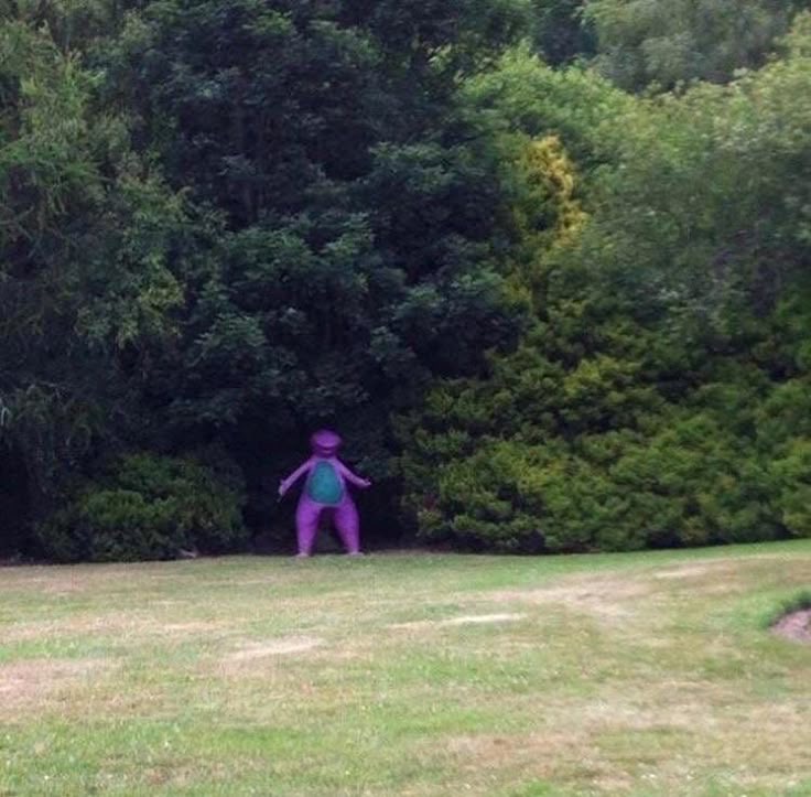 Barney Waiting in the Forest