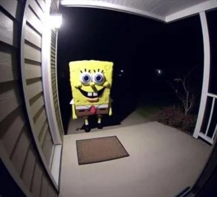 SpongeBob Wants To Get In Your House
