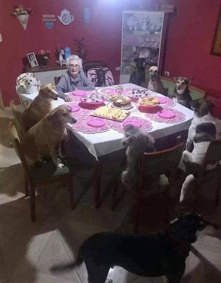 Grandma’s Tea Party… With Dogs