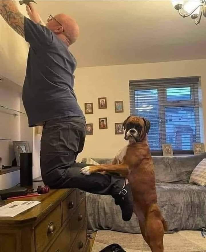 Guy Working While His Dog Holds His Legs