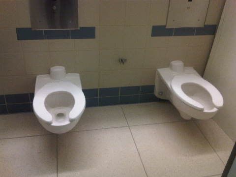 Side-by-Side Toilets With Zero Doors