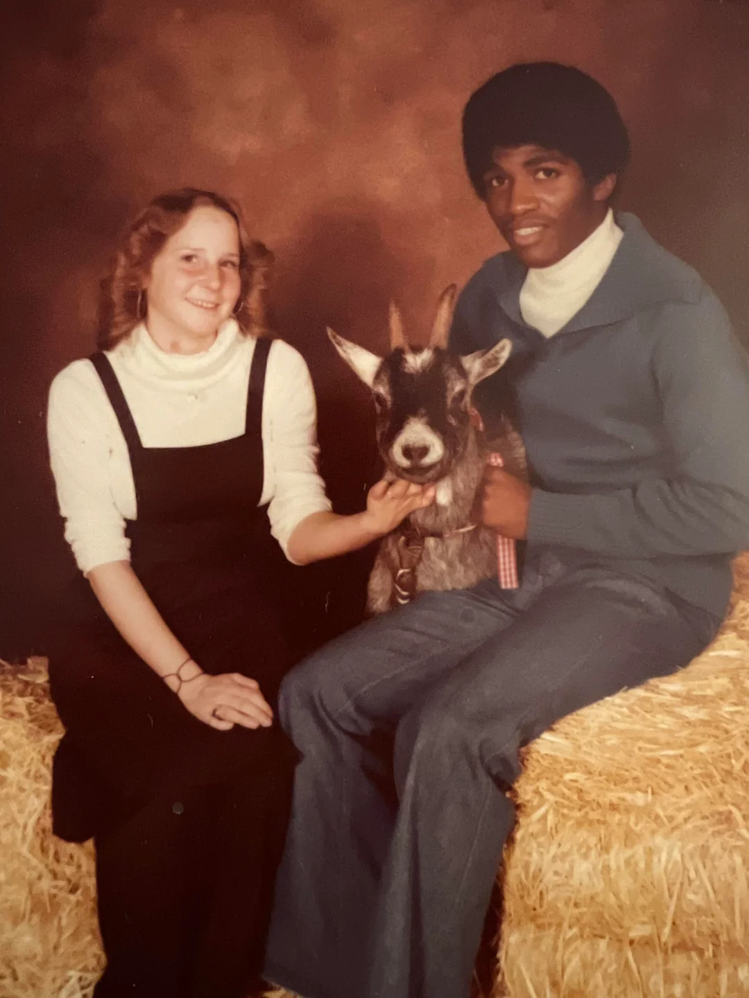 Goat having his portrait moment