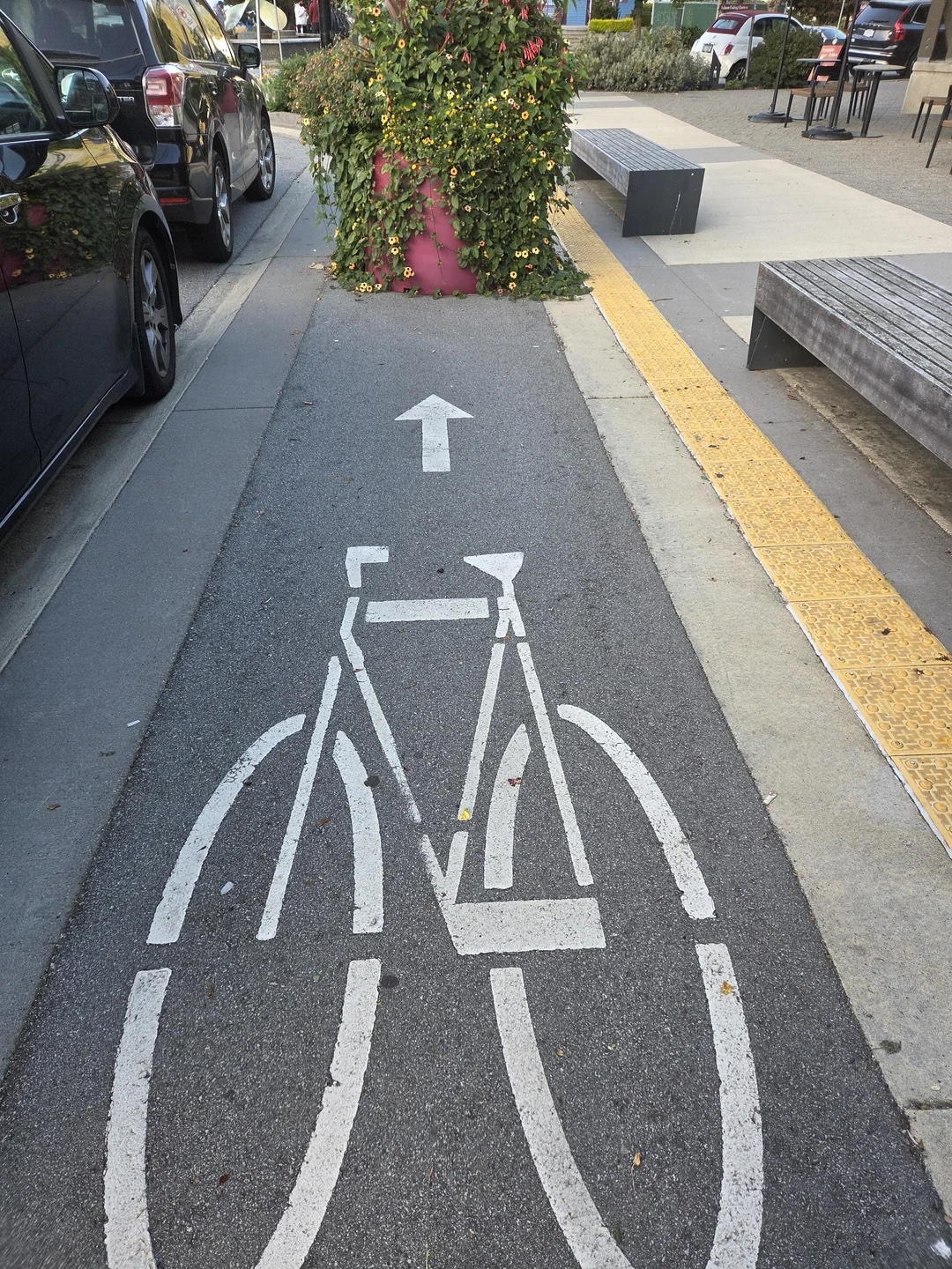 Bike lane obstacle