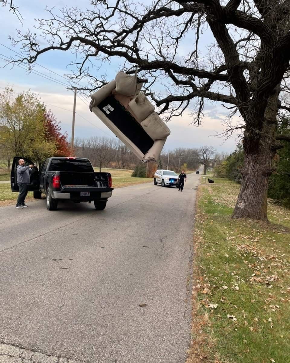 Sofa Hanging From a Tree
