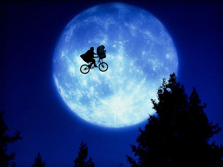 The Year Everyone Saw E.T.