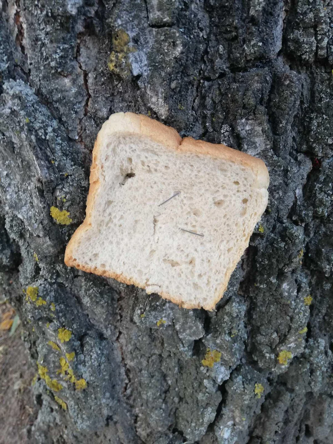 White bread aggressively stapled