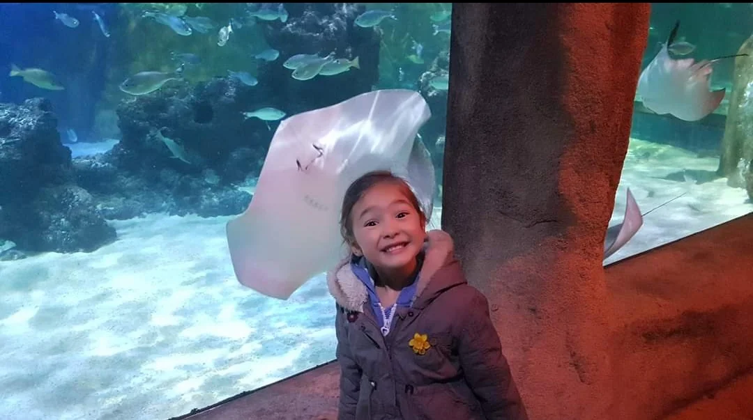 Stingray in the aquarium