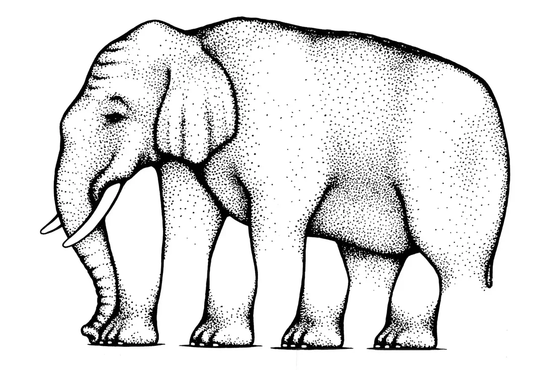 The impossible elephant