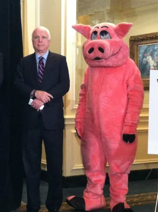 Meeting with creepy pig