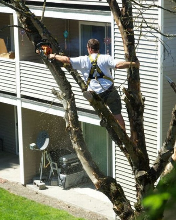 Acrobatics with a chainsaw