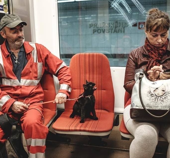 Man Taking His Cat on the Subway
