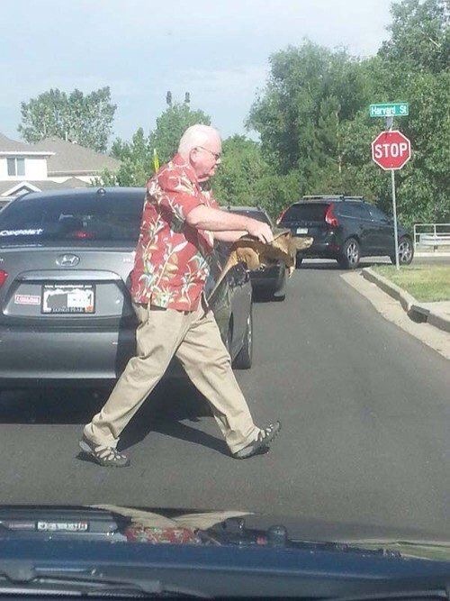 Man Carrying a Turtle