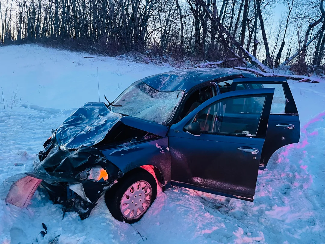 Slip that looks like a moose attack