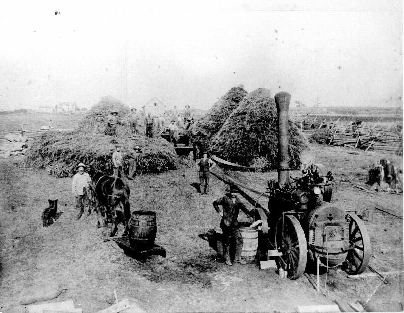 A war was fought over a pig in 1859