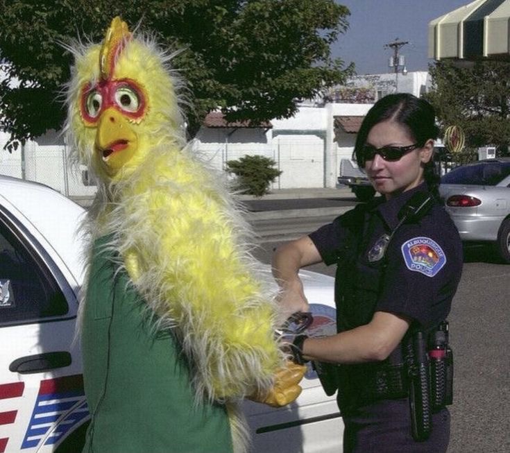 Giant Chicken Getting Arrested