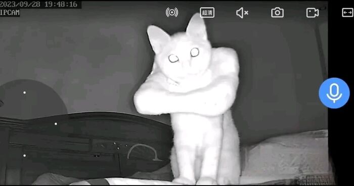 Security camera terror