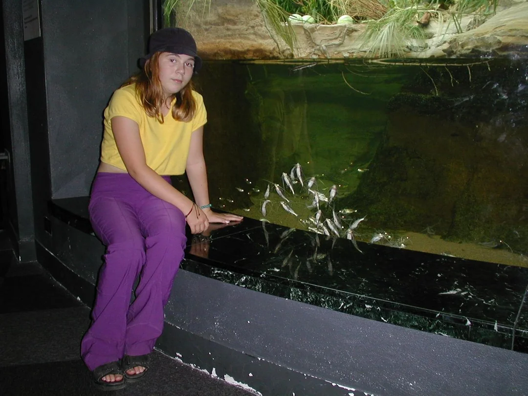 Going to the aquarium