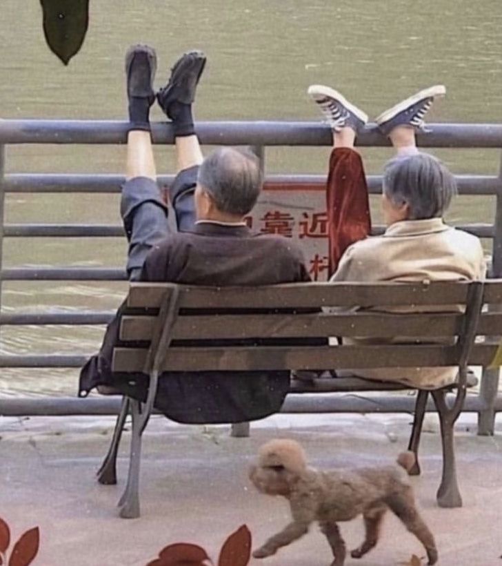 Couple Sitting on a Bench