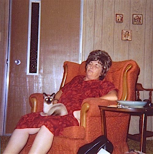 Lady Asleep with a Strange-Looking Cat