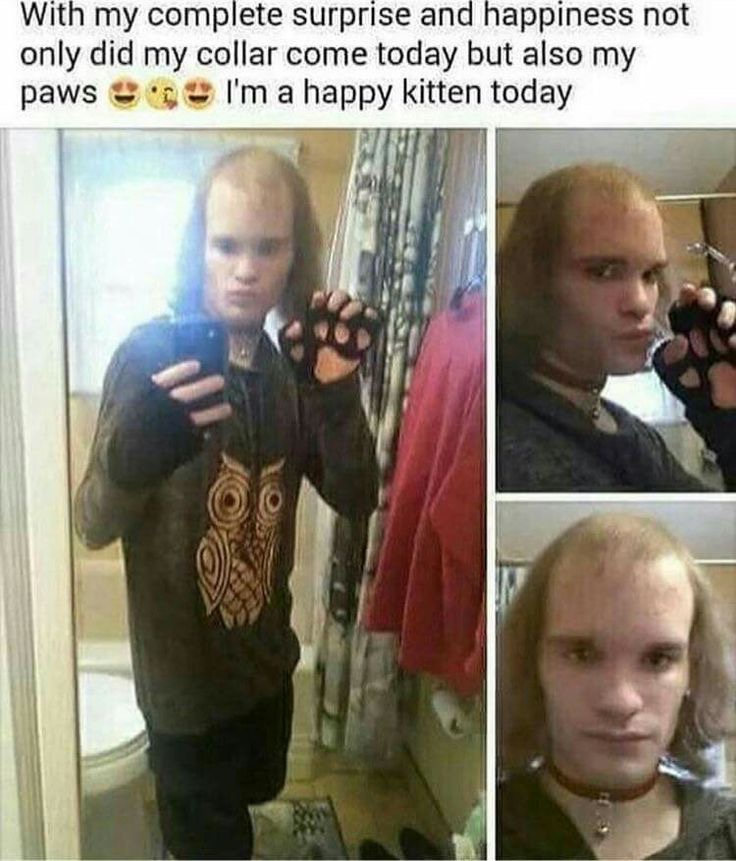 Dude Thinks He’s a Kitten