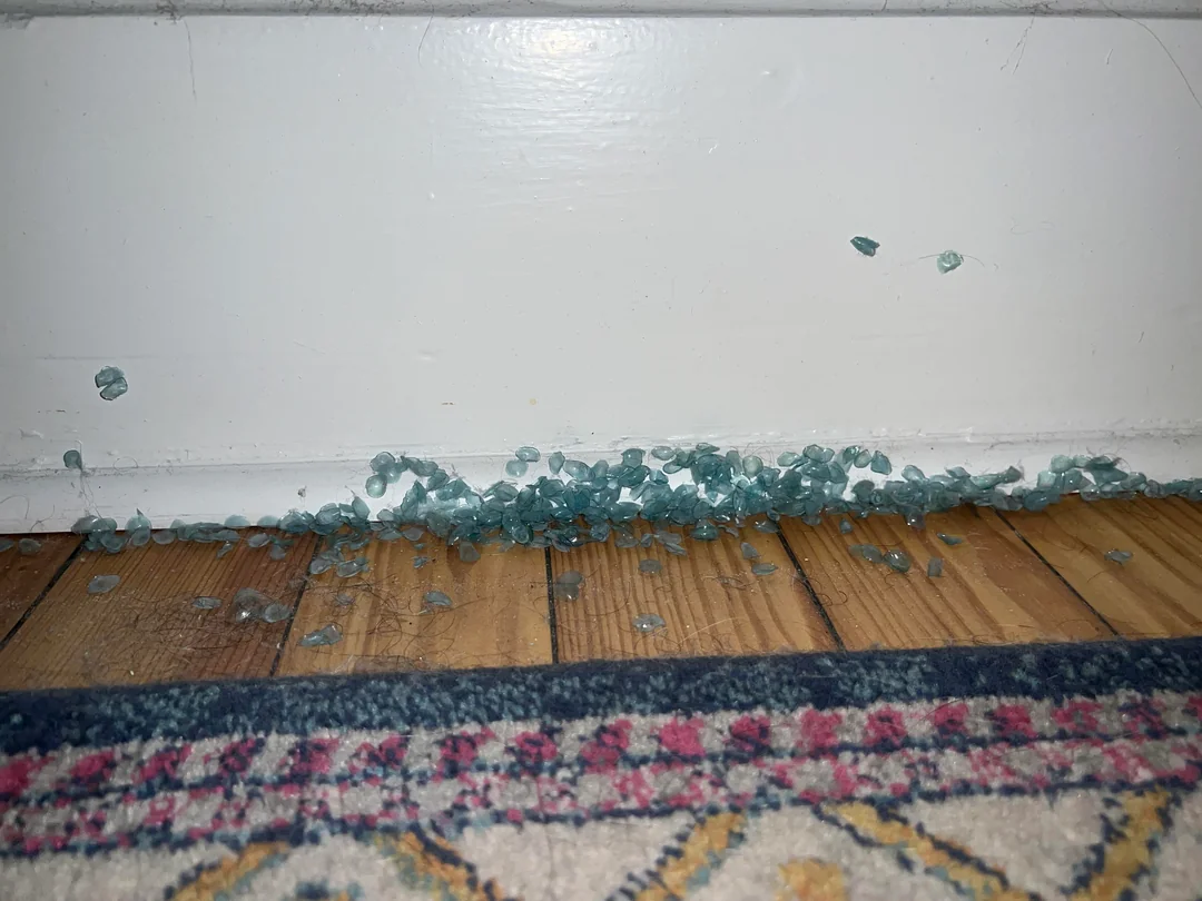 The collection of contact lenses