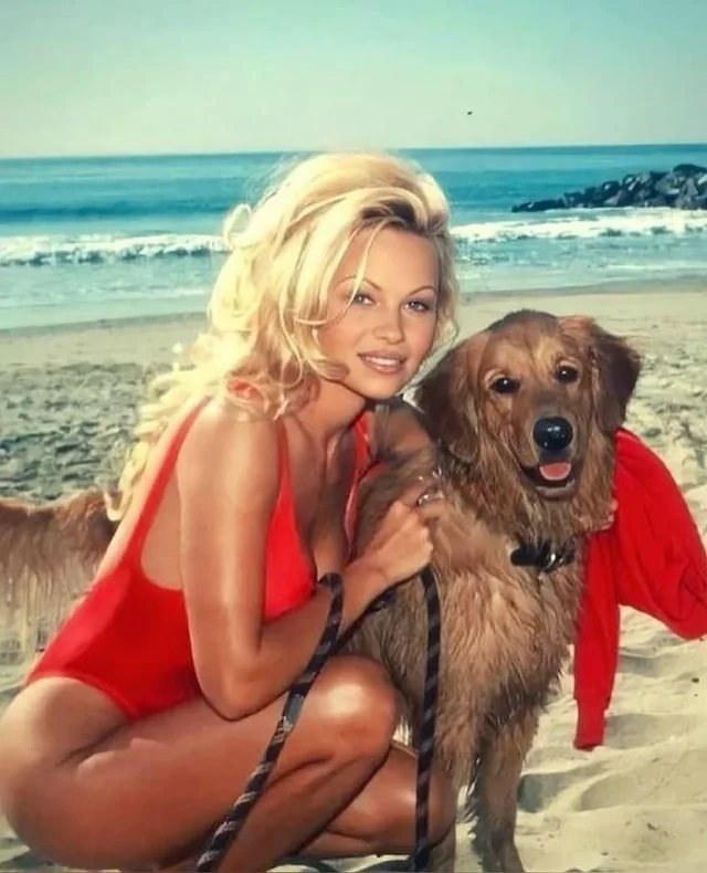 15 Photos Showing How Pamela Anderson Became an Icon