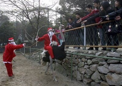 Santa Riding on Top of a Rhea