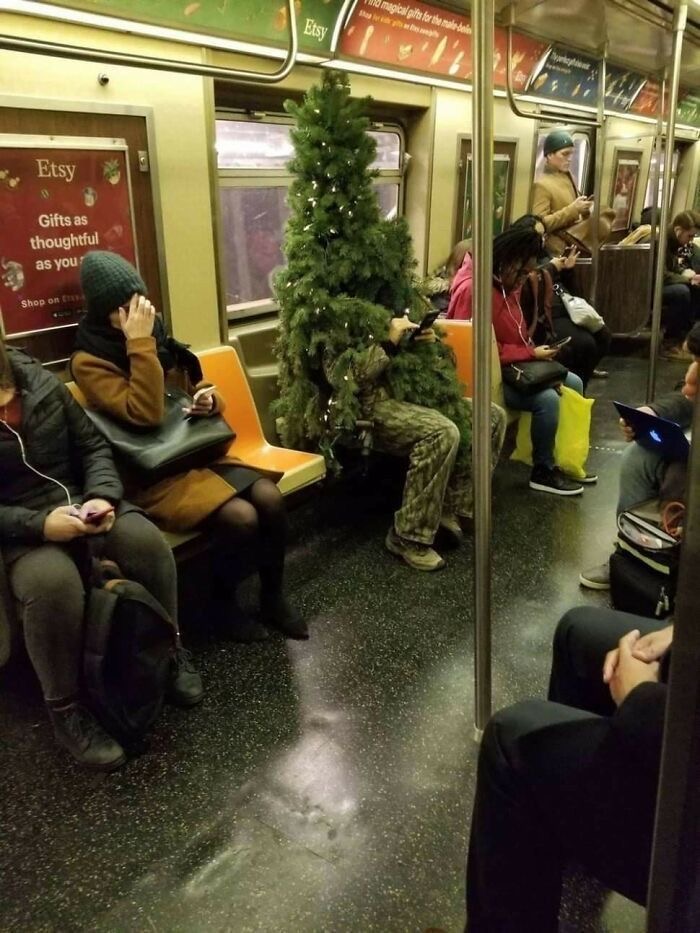 Someone Carrying a Christmas Tree on the Subway