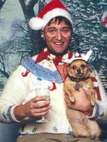 20 Photos of Christmas from if the Grinch Stole It