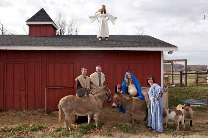 20 Photos of Christmas from if the Grinch Stole It